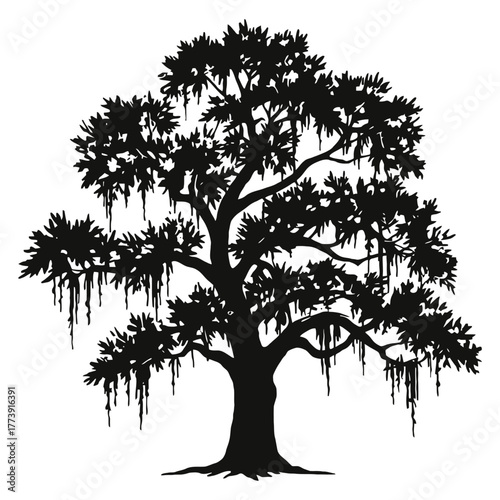 Live oak tree with long draping spanish moss black silhouette style suitable for nature illustration, heritage landscape graphics and rustic decorative compositions