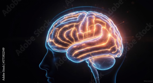 Digital rendering of a translucent human head and glowing brain, set against a dark background