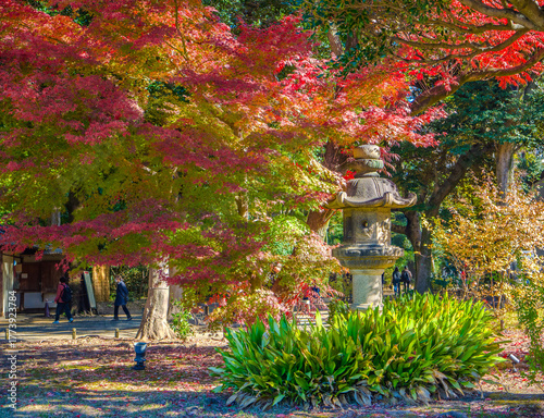 A stone lantern standing among colorful autumn trees in a traditional Japanese garden (Rikugien Garden, Tokyo, Japan)