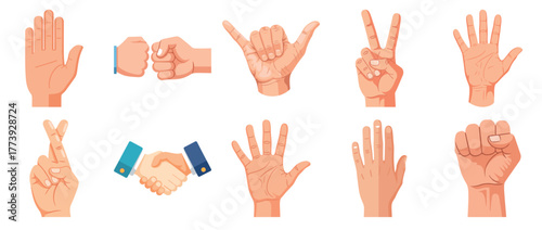 Various hand gestures and signs illustration on white background