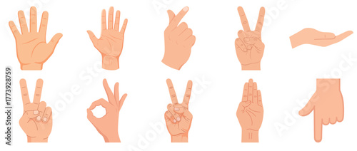 Collection of hand gestures and signs on white background