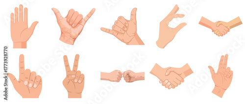 Diverse hand gestures: shaka, peace, handshake, fist bump, open palm collection