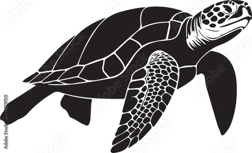 Majestic sea turtle silhouette gracefully swimming underwater marine life