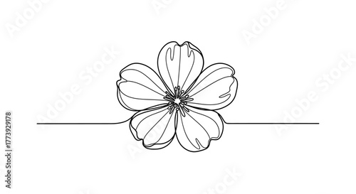 Flower in continuous line drawing style