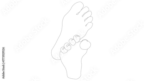 Illustration of female bare feet sole