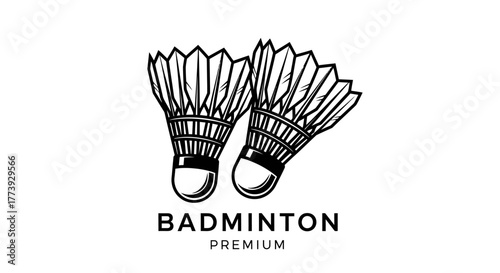 Two badminton shuttlecocks, sport equipment item