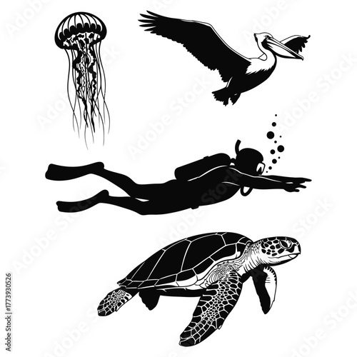 Silhouette Collection Of Ocean Life And Diver With Pelican jellyfish scuba diver