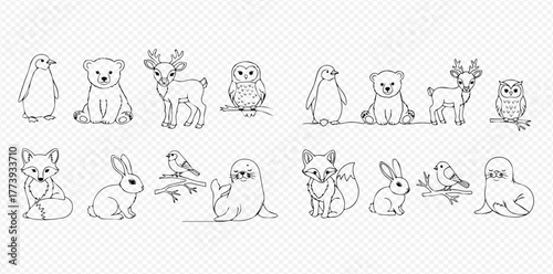 Cute cartoon outline illustrations of various arctic and forest animals, perfect for children's designs.