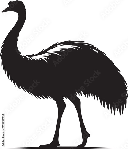 Silhouette emu animal transparent