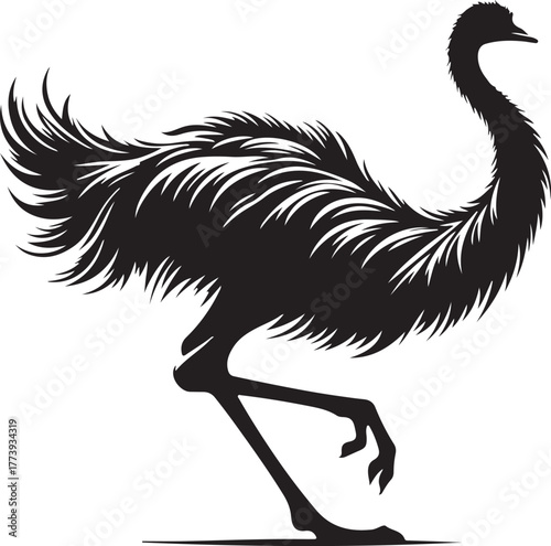 Silhouette emu animal transparent