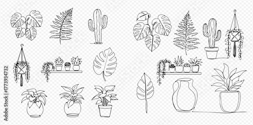 Collection of hand-drawn outline illustrations featuring various indoor plants like monstera, ferns, cacti, succulents, and potted greenery.
