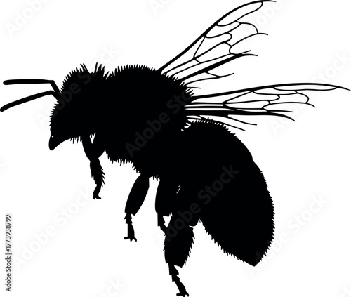 Detailed Silhouette Illustration of a Bee in Flight Nature and Pollination