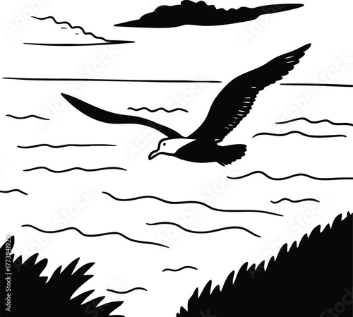 vector illustration of a bird