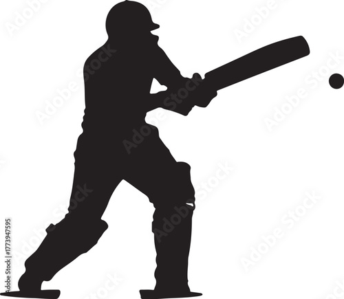 Cricket batsman silhouette ready to hit the ball in action