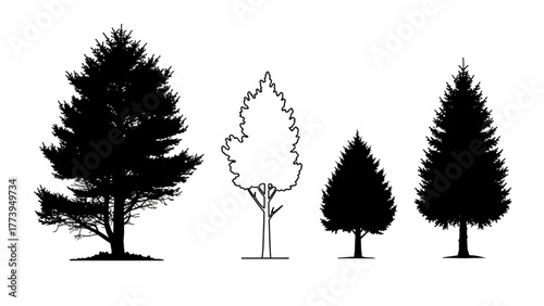 Silhouettes and outline of various pine trees for graphic design