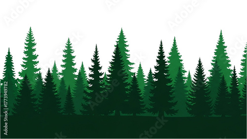 Evergreen Forest Silhouette Seamless Border of Coniferous Trees Against White Sky