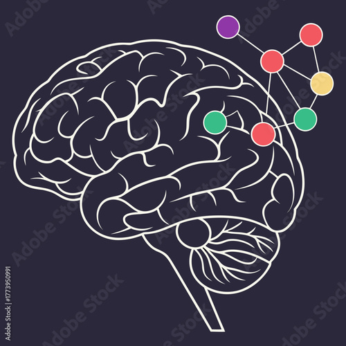 Stylized Human Brain with Neural Network Connections neuroscience neurology