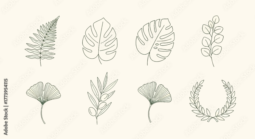 Fototapeta premium Minimalist Botanical Line Art Set: Hand-Drawn Leaves Monstera, Fern, Eucalyptus, Olive, Ginkgo & Laurel Wreath Vector Clipart