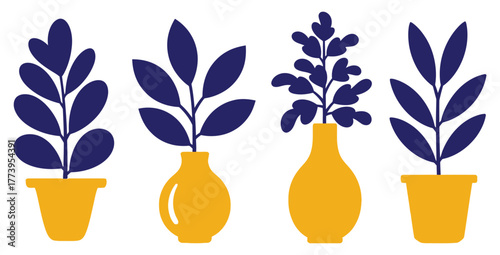 Four potted plants with blue leaves and yellow pots and vases on a white isolated background