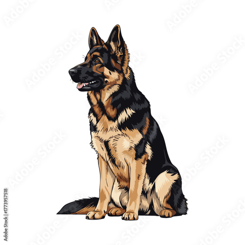 Illustration of a sitting German Shepherd dog with black and tan coloring.