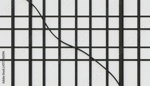 Wallpaper Mural Japanese Shoji Screen and Black Cable Background　障子と黒いケーブルの画像 Torontodigital.ca