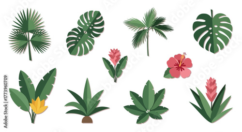 Set of isolated tropical plants and exotic flowers illustration.