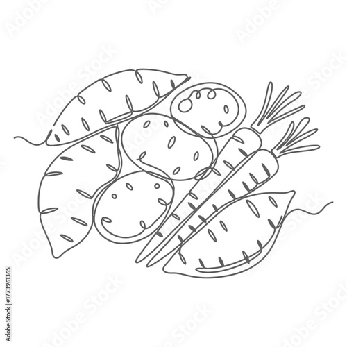 Continuous line drawing of fresh potatoes and carrots