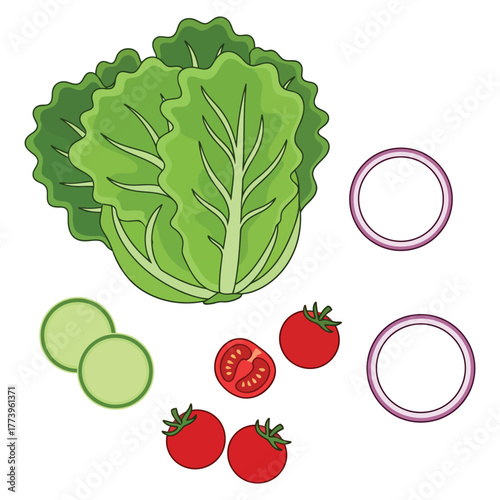 Fresh salad ingredients including lettuce, cucumber, tomato, onion, and croutons