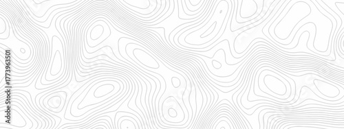 Abstract topographic White wave paper curved reliefs. Seamless swirl wave contour maps. Vector illustration. topography line map.