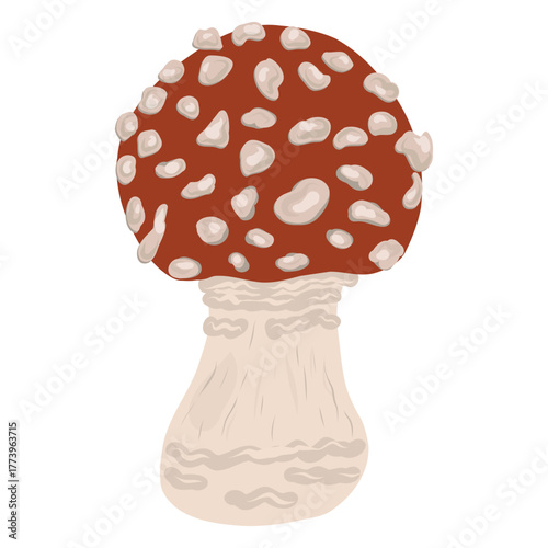 Fly agaric mushroom vector illustration. Hand drawn detailed toadstool. Mushroom, forest element