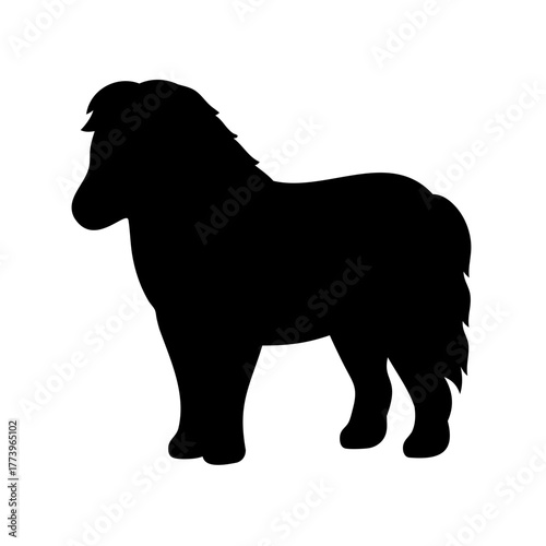Silhouette of a Shetland Pony Standing on a White Background, Side View