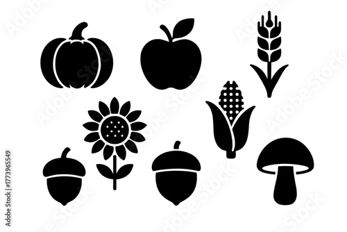 Collection of Black Silhouette Autumn Harvest Icons Featuring Pumpkin Apple Sunflower Acorn Corn Stalk and Mushroom on White Background
