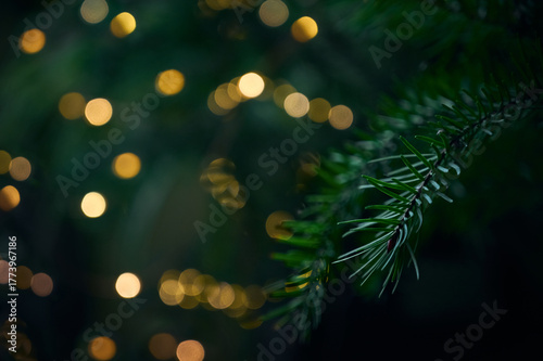 Green Christmas tree branch and yellow lights garlands blurred in bokeh