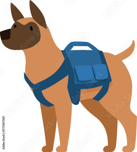 Belgian malinois wearing a harness and a blue backpack, viewed from the side, isolated on white background