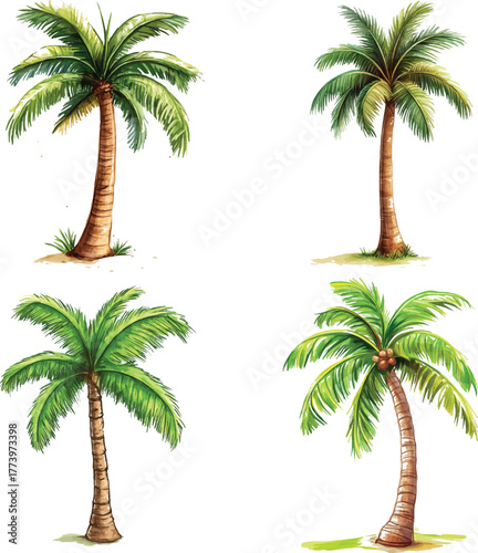 cute cartoon vector-style illustration of an isolated single palm tree on a white background, with green leaves and a brown trunk