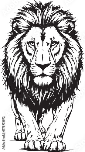 Walking lion with intense gaze black and white vector illustration for wildlife strength leadership and bold editorial design