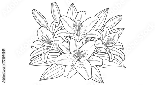 Elegant Lily Bouquet Line Art Illustration for Coloring Books and Floral Design Projects, Suitable for Relaxation, Artistic Expression, and Educational Activities.