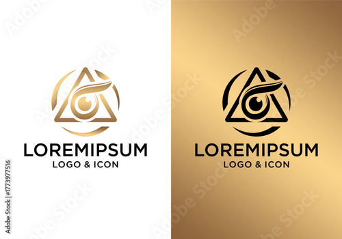 vector eye logo icon design with abstract triangle and circle frame