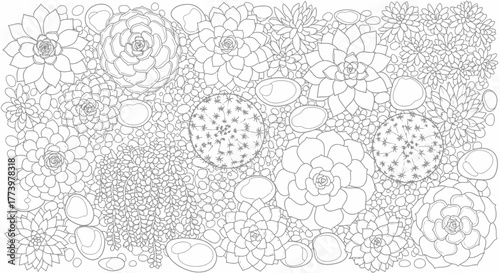 Intricate succulent garden illustration featuring detailed textures and patterns for creative projects and coloring books for relaxation and artistic expression