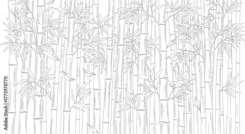 Elegant Bamboo Forest Line Art Illustration for Asian-Inspired Design Projects and Serene Aesthetic Backgrounds, suitable for wellness brands and botanical studies