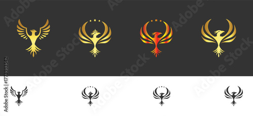 Golden and fiery phoenix logos with stars and crowns on dark and vector template white backgrounds