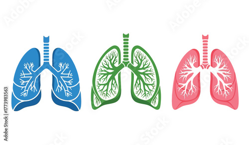 Three stylized human lung icons in blue, green, and pink, showcasing the respiratory system's bronchial tree structure.