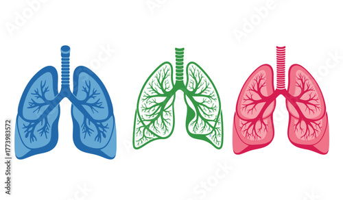 Stylized anatomical illustration of human lungs in blue, green, and pink, showcasing respiratory system structure with branching airways.