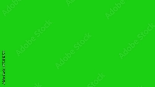 Vibrant 4K confetti explosion animation with colorful falling particles and sparkling ribbons floating in the air, perfect for party intros, celebration overlays, weddings, and festive motion graphics