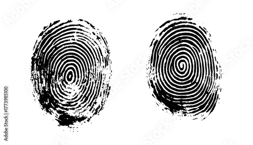 Two black fingerprint on a white background. High-quality black fingerprints isolated on a white background, biometric ID scan, forensic analysis, transparent cutout for digital use. 