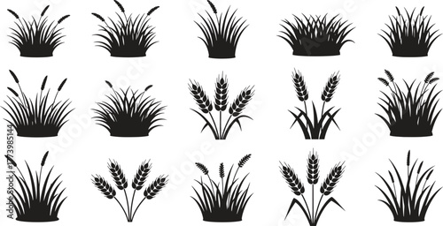 Collection of stylized wheat and grass icons in black silhouette
