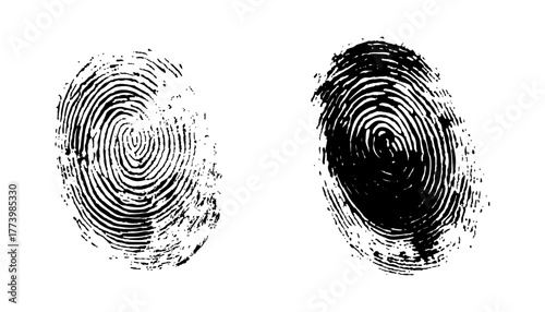 Two black fingerprint on a white background. High-quality black fingerprints isolated on a white background, biometric ID scan, forensic analysis, transparent cutout for digital use. 