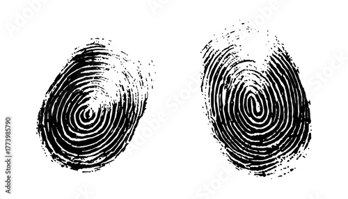 Two black fingerprint on a white background. High-quality black fingerprints isolated on a white background, biometric ID scan, forensic analysis, transparent cutout for digital use. 