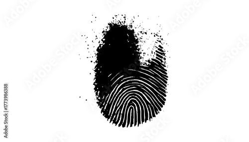 Single fingerprint against a bright white background. Vector black fingerprint on a white background. High-quality black fingerprint isolated on a white background, biometric ID scan. 