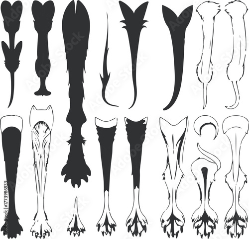 Different dog tail styles vector sheet, black outline, white background, minimal anatomy guide illustration, educational and commercial-friendly 1